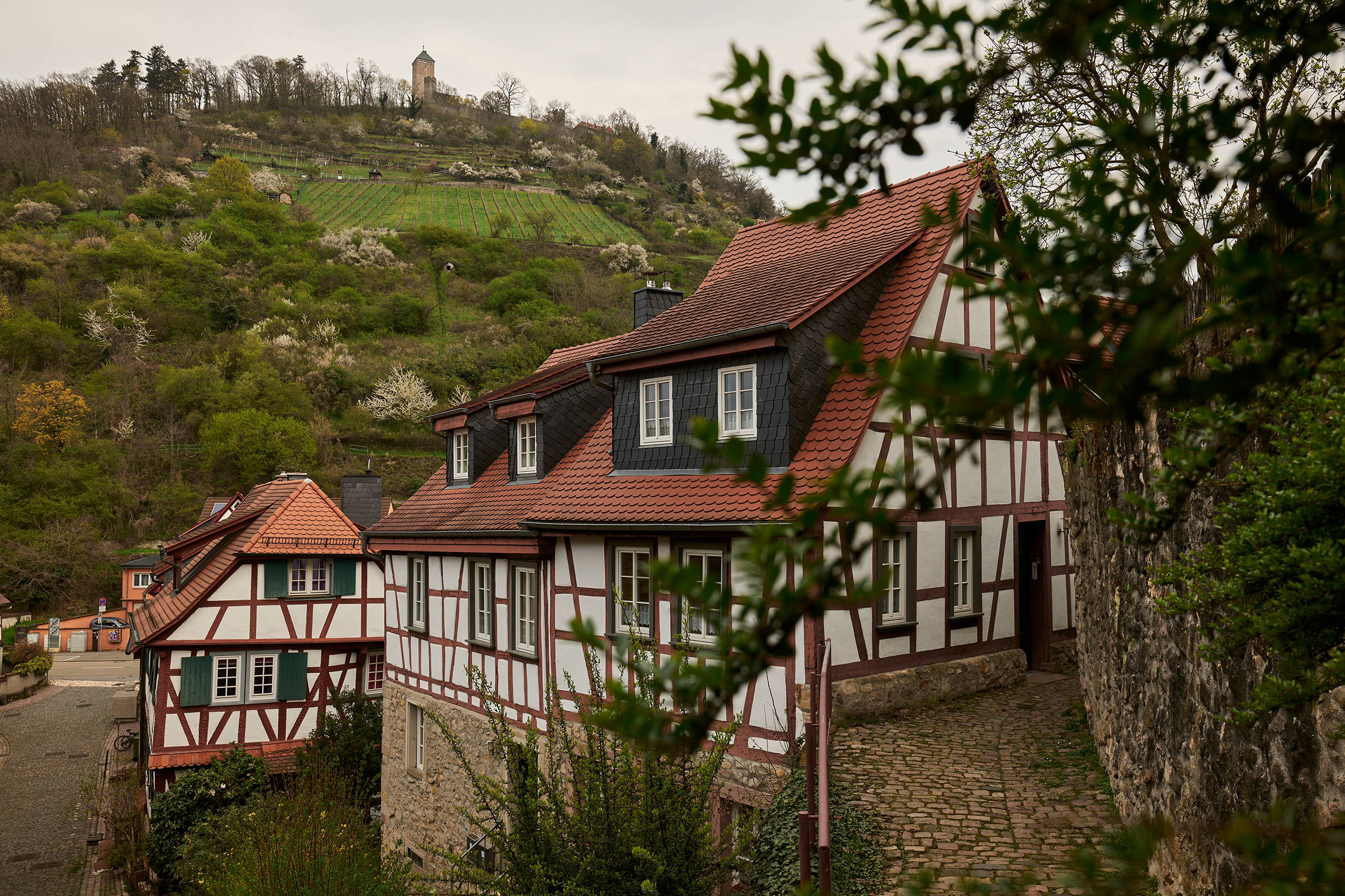 Altstadtsafari in Heppenheim + Online-Bildbesprechung / Termine auf Anfrage