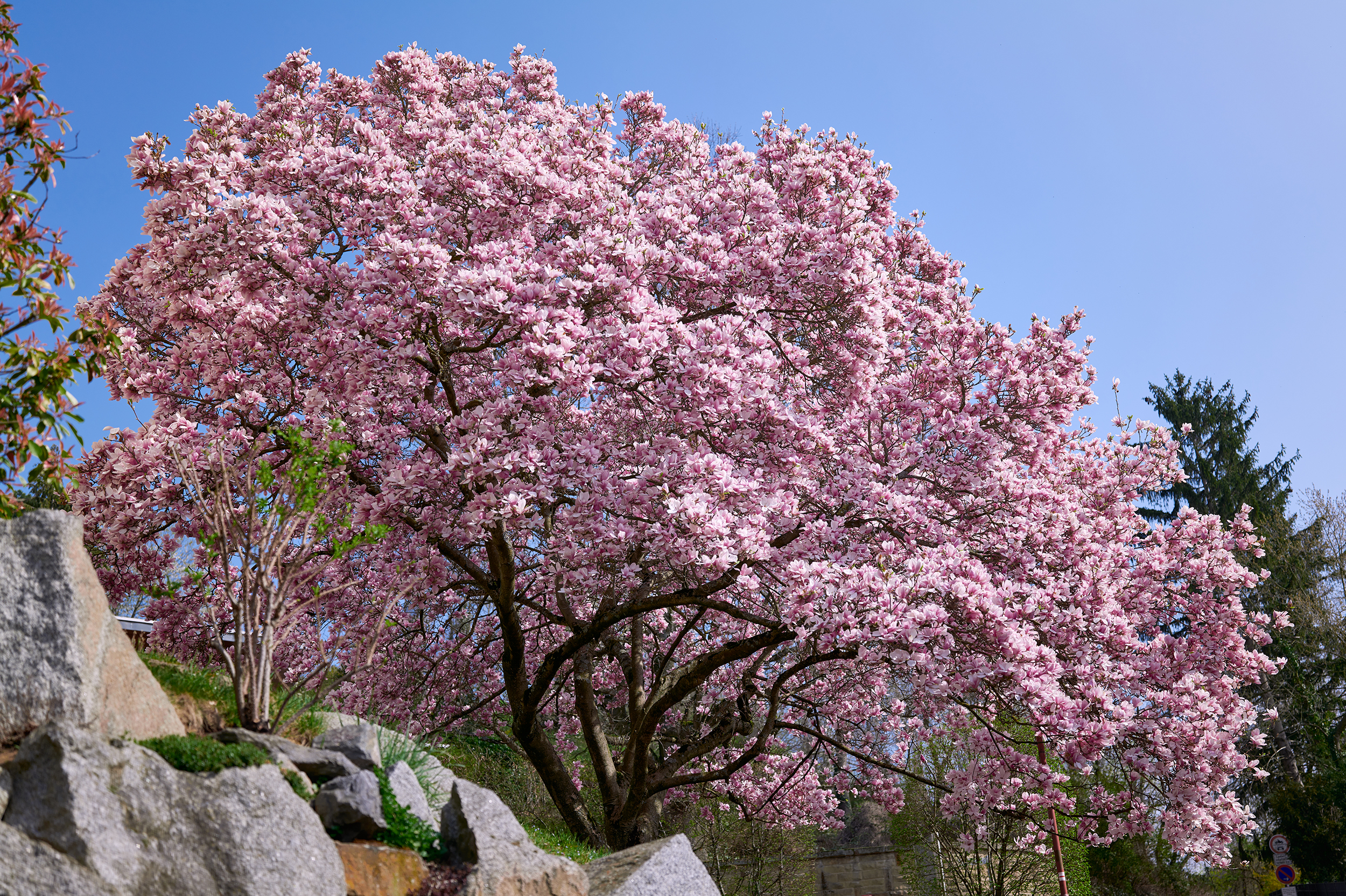 Im Rausch der Farben